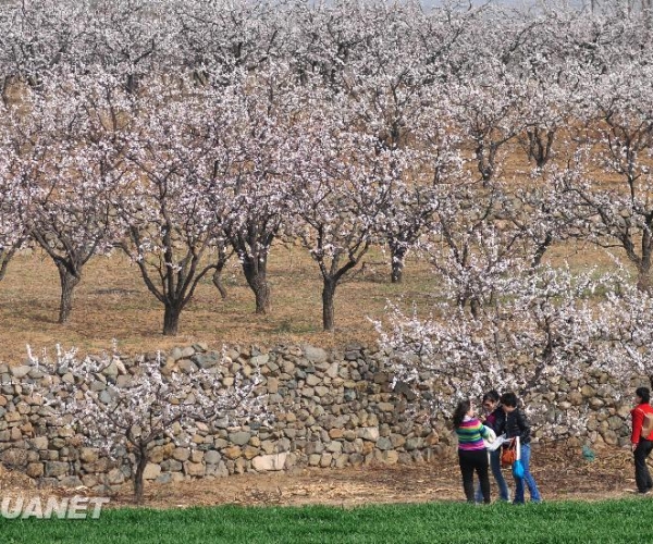  ��ũ��ע 131645w9ttwxhtz4s4hgbw