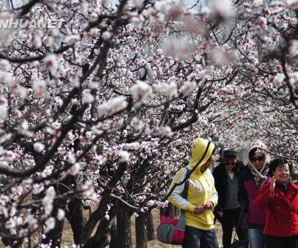  ��ũ��ע 131635ul0hvj8pqydiggzu