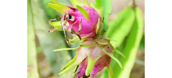  ũע 131648wrqbtgvg64gmgvlm