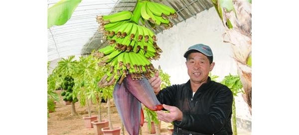  ��ũ��ע 1316559cjslmcnc9d9875y