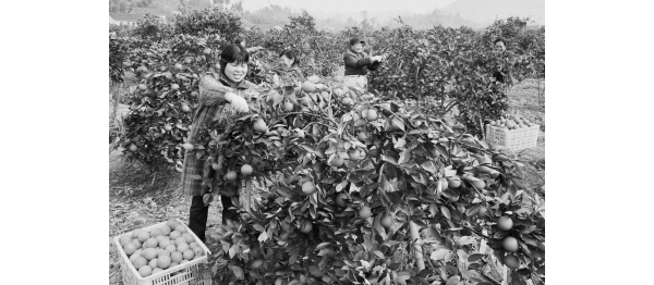  ��ũ��ע forum