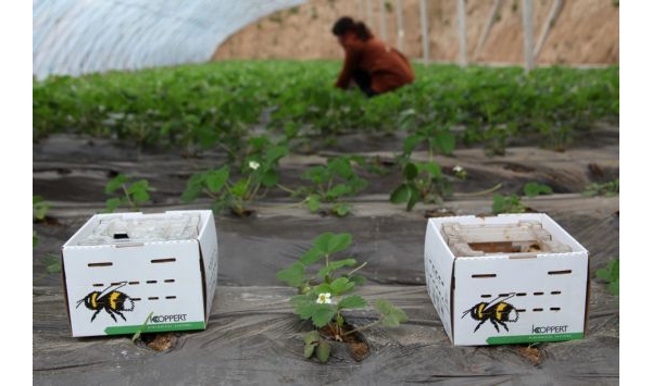  ֲ��ũ�� forum