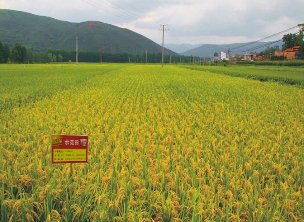  ũ����Ϣ forum