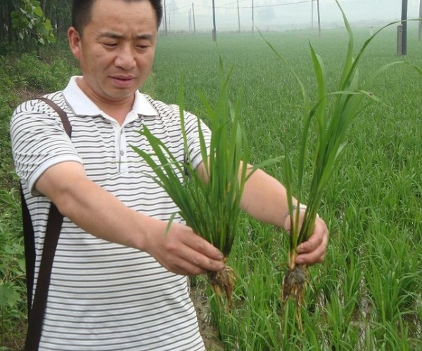  ũ����Ϣ forum