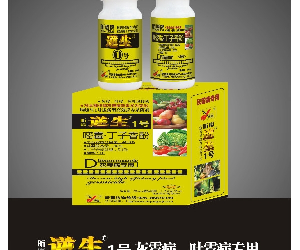  ũϢ 180628hb5bh4b4rttb4mrb