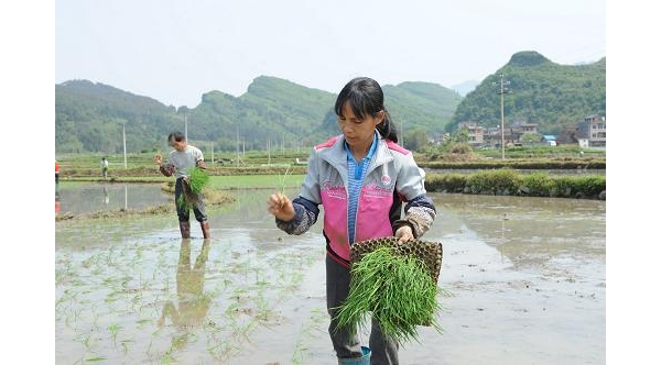  ֲ��ũ�� forum