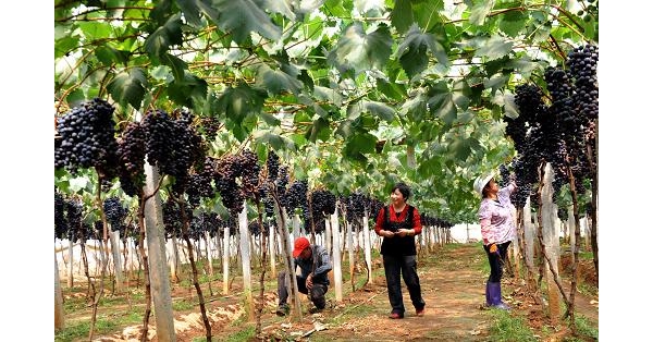  ��ũ��ע forum