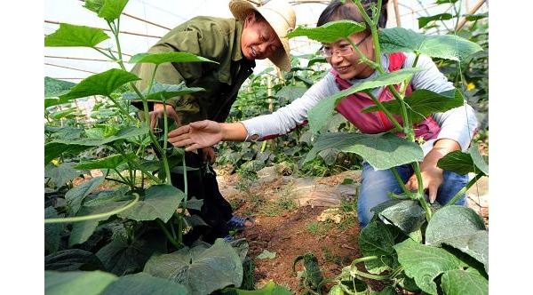  ˮ�ʹ��� forum