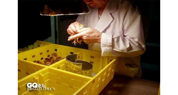  ������ֳ forum