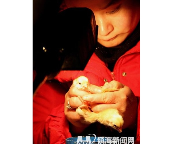  ������ֳ forum