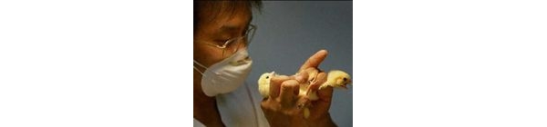  ������ֳ forum