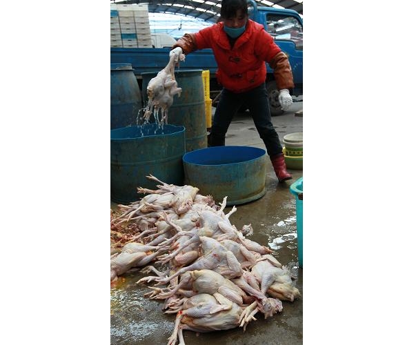  ������ֳ forum