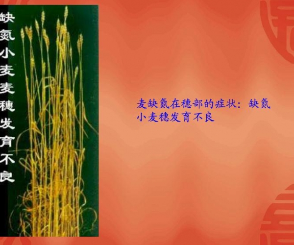  ˮ�ʹ��� forum