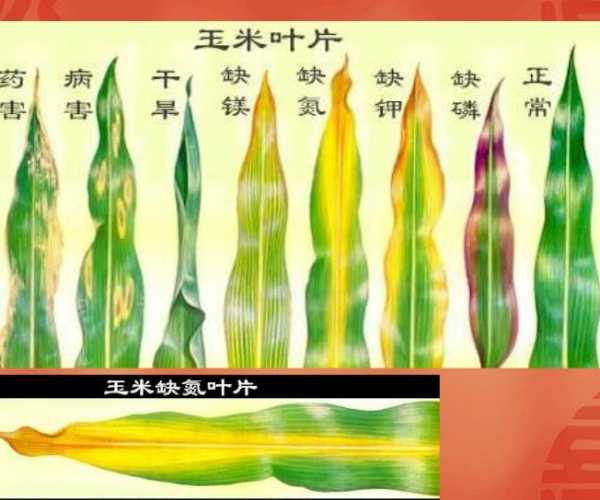  ˮ�ʹ��� forum