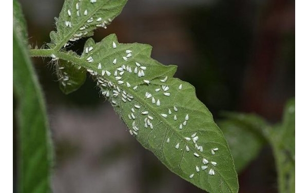  ũϢ 105036tnjdff7lgd6gqgd7