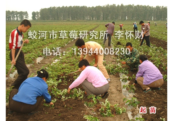  ũ����Ϣ 232232km8pssfsf8pkxkns