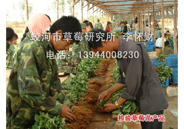  ũϢ 232358wuoui6s7742f1i52