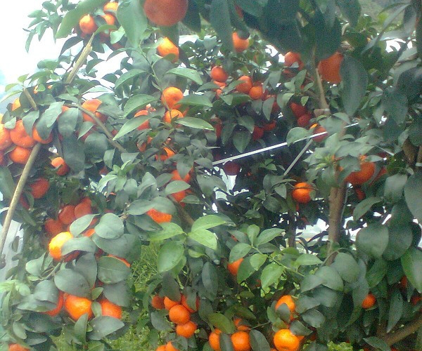  ũ����Ϣ 103835gml9gkf8lknli0g2