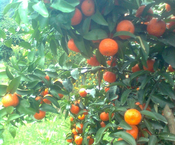  ũϢ 1038340ojjgoovsboygxxb