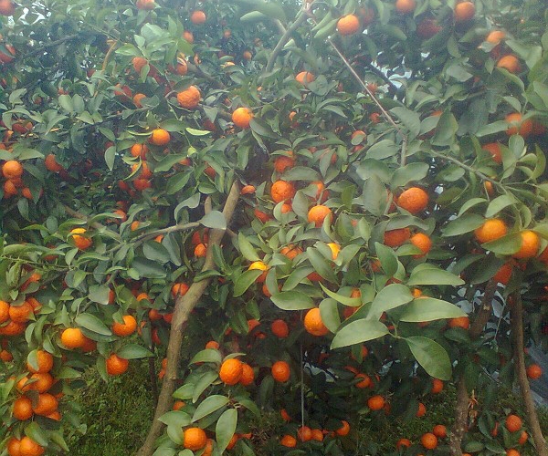  ũ����Ϣ 103836p77euqfplmp9709p