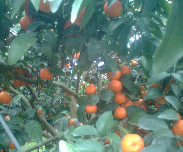  ũ����Ϣ 1038374ohmlfzaiiyi2afo