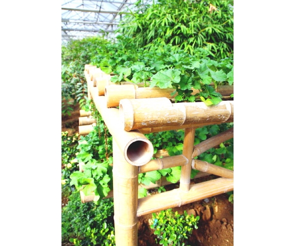  ��ũ��ע 174601rbbor5rbsard6i6f