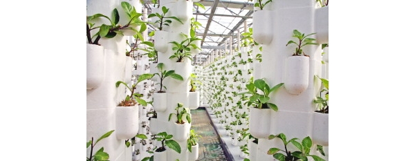  ũע 1746059d6q0kdl0qls0rk6