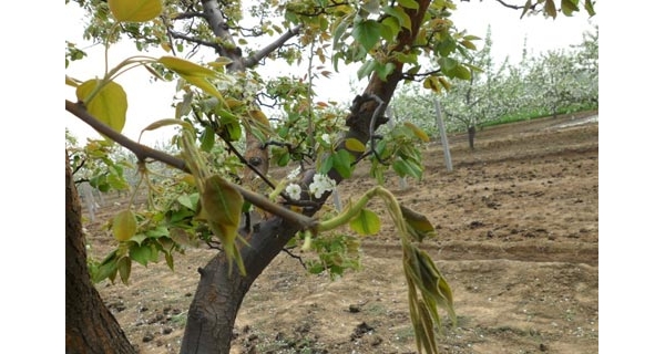  ũ��Ӫ�� forum