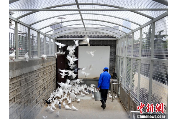  ��ũ��ע forum