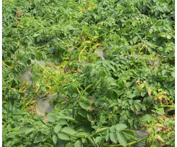  ֲҽԺ 150539eu6tueojupwkutbb