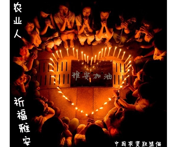  ũ֮���� forum