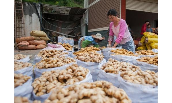  ��ũ��ע forum