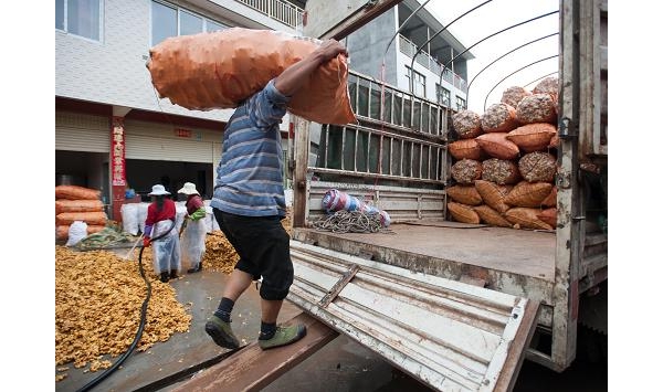  ��ũ��ע forum