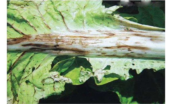  ����ݺ� forum