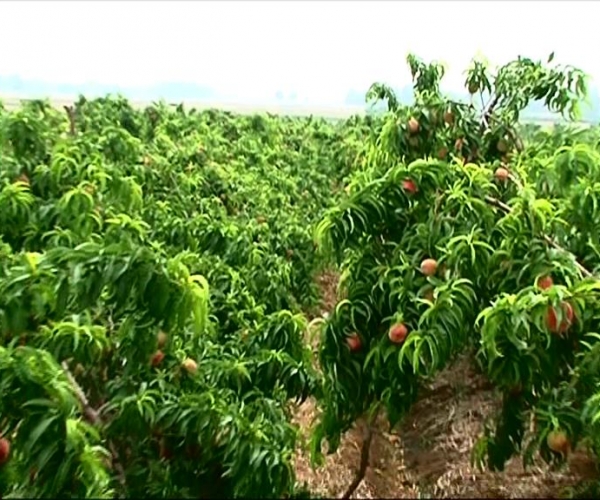  ũ����Ϣ forum