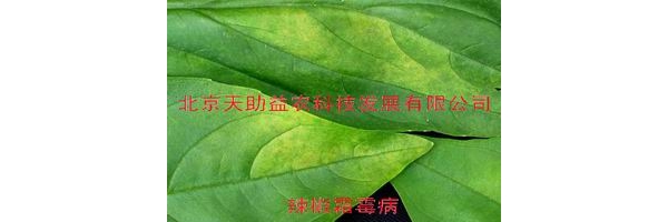  ũ����Ϣ forum