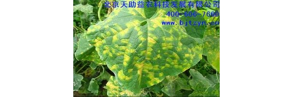  ũ����Ϣ forum