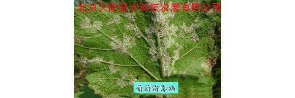  ũ����Ϣ forum