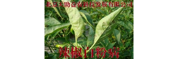  ũ����Ϣ forum