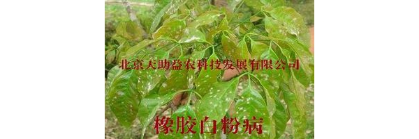  ũ����Ϣ forum