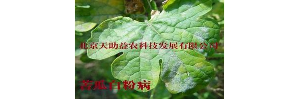  ũ����Ϣ forum