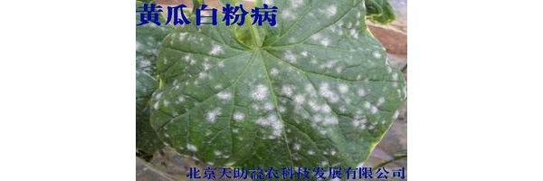  ũ����Ϣ forum