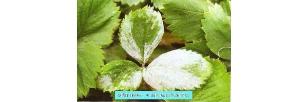  ũ����Ϣ forum