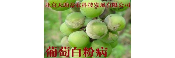  ũ����Ϣ forum