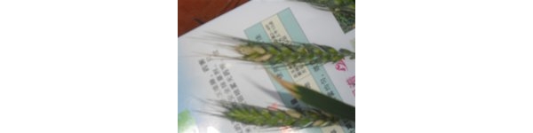  ����ݺ� forum