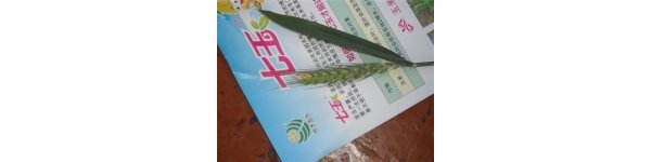  ����ݺ� forum