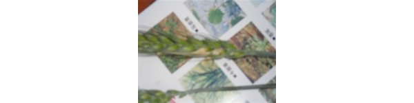  ����ݺ� forum