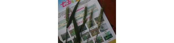  ����ݺ� forum