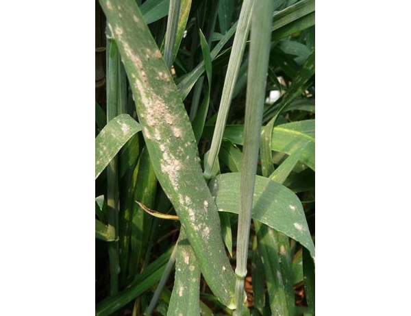  ����ݺ� forum