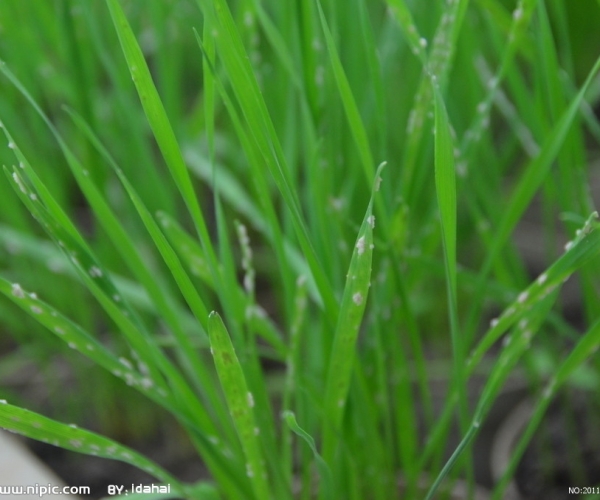  ����ݺ� forum